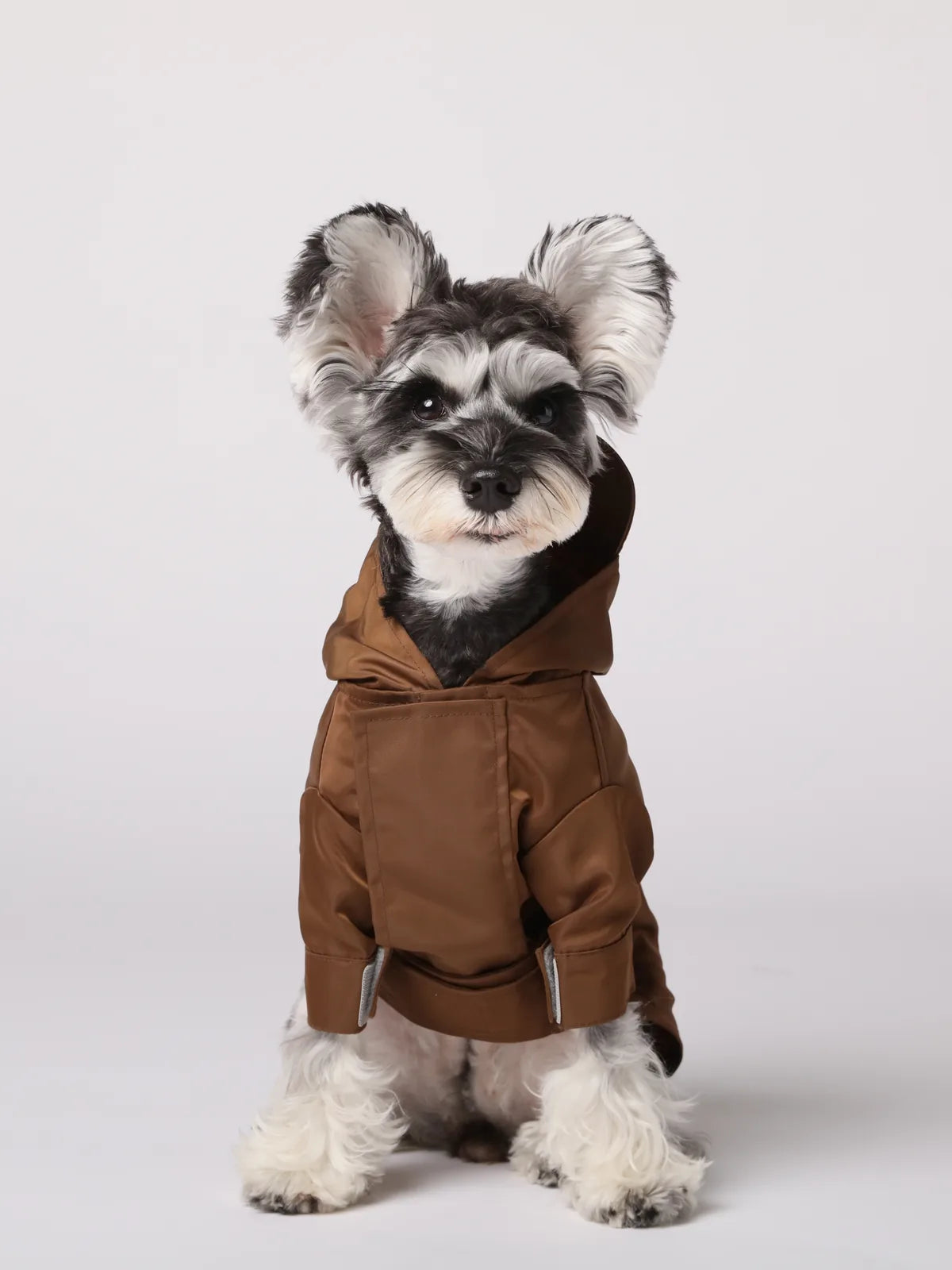 Choco adjustable Velcro raincoat on a small dog, featuring a hood and snug fit for rainy weather.