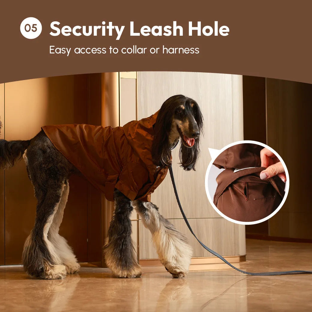 Brown adjustable raincoat on a stylish dog, featuring a leash hole for easy access to collar or harness.