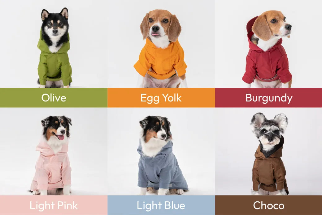 Choco adjustable velcro raincoat on a dog, featuring a hood and a snug fit for rainy weather.