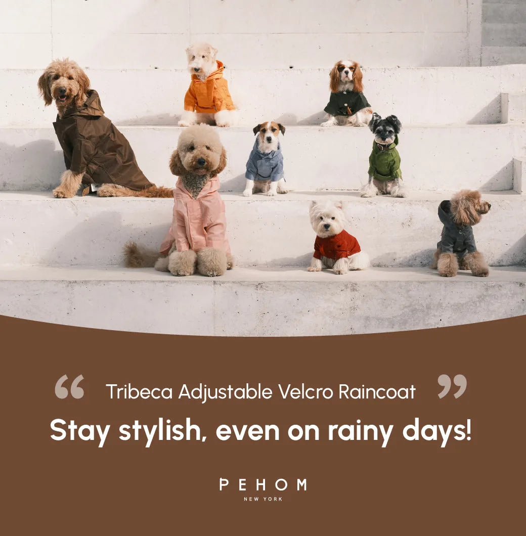 Dogs of various breeds model colorful Tribeca Velcro raincoats in a stylish outdoor setting, perfect for rainy days.