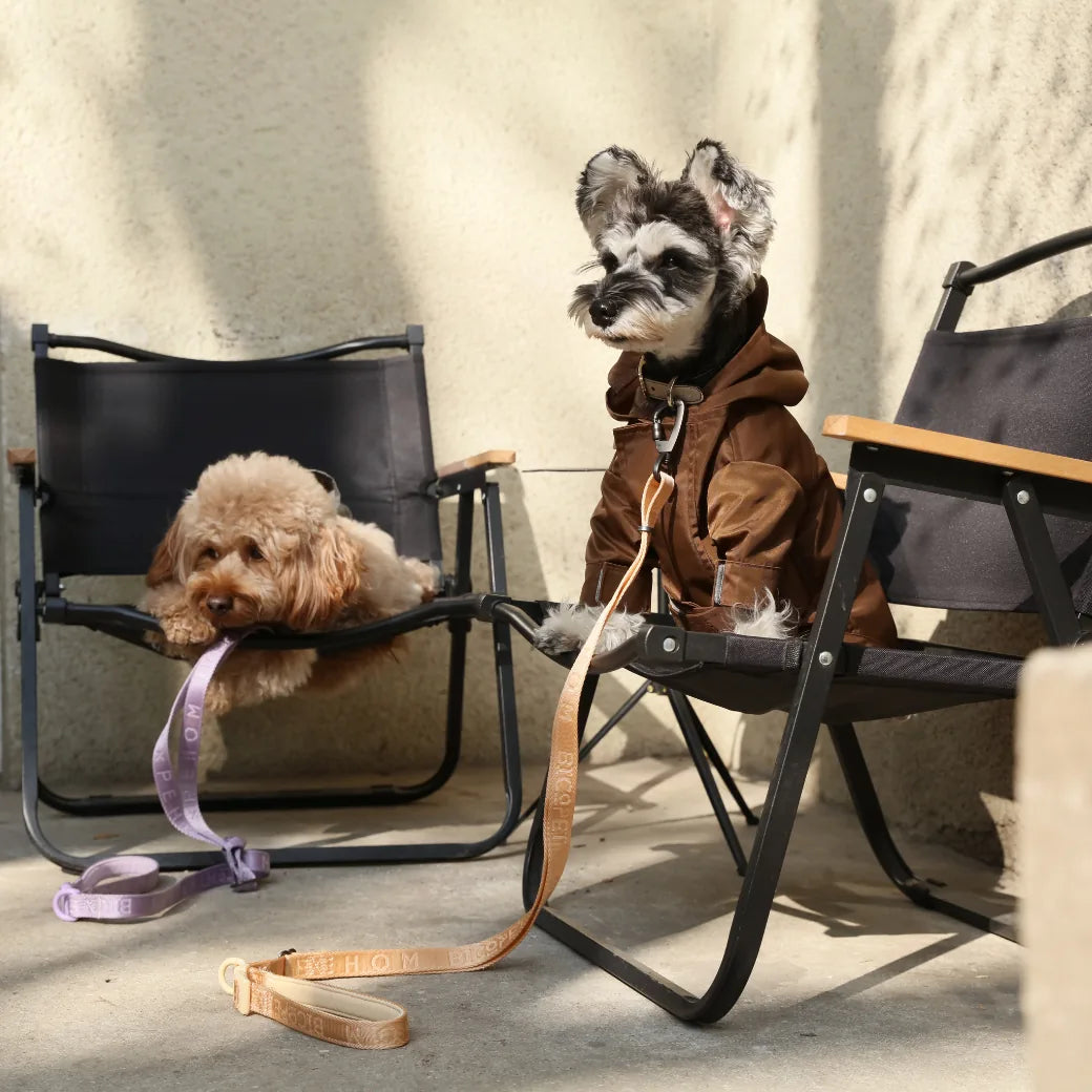 Schnauzer in a chocolate brown Tribeca adjustable raincoat sits beside a fluffy dog, both on folding chairs.