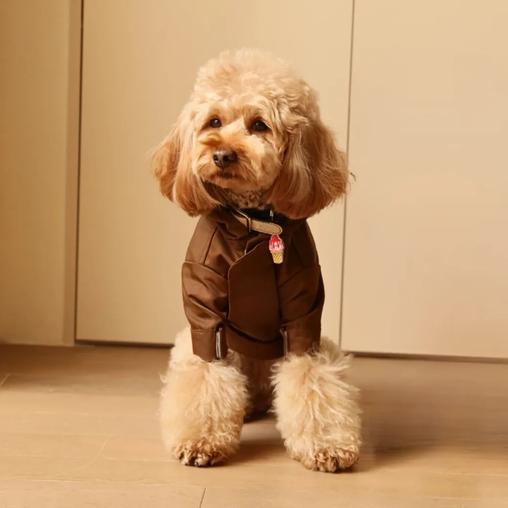 Chocolate brown adjustable raincoat on a fluffy dog, featuring Velcro closures and a hood with a brim.