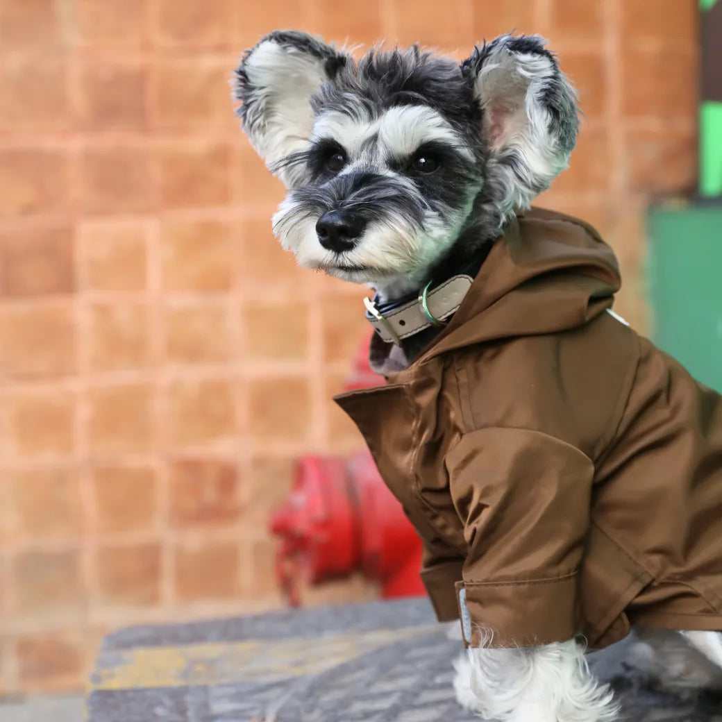 Sleek dog wearing a brown adjustable velcro raincoat with a hood, posed against a textured background.