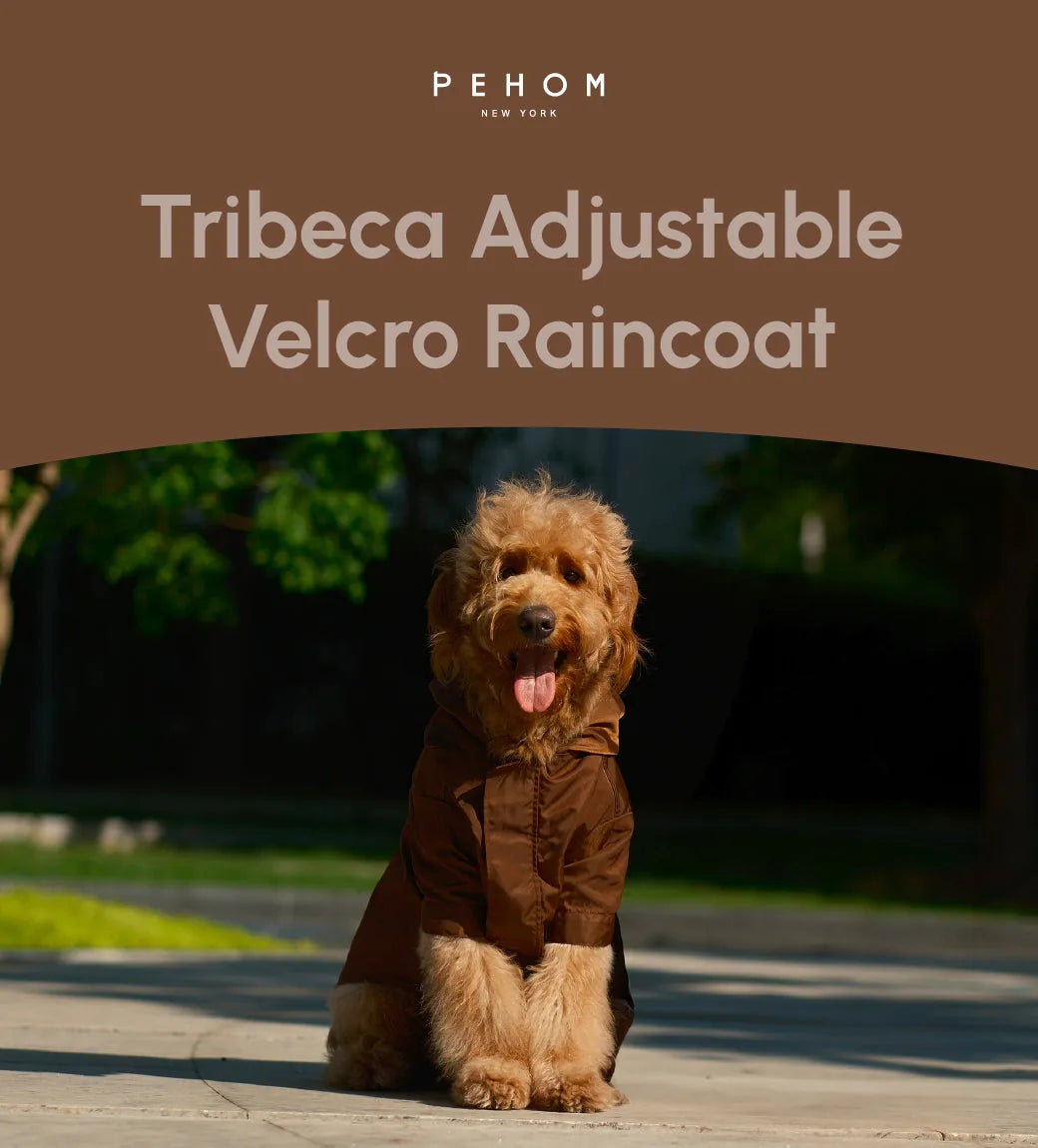 Dog wearing a brown Tribeca adjustable Velcro raincoat with a hood, sitting outdoors in a sunny environment.