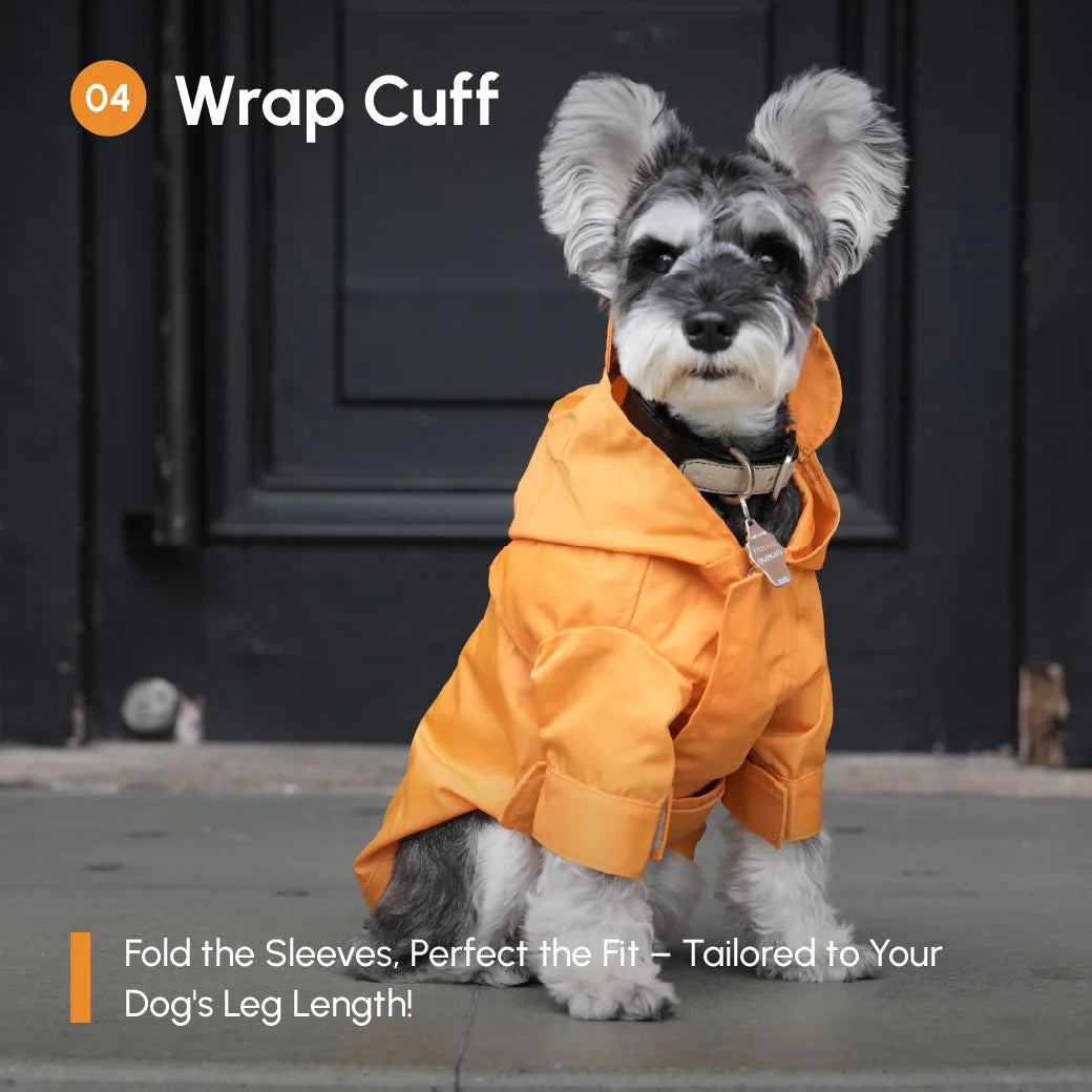Schnauzer wearing a bright egg yolk yellow adjustable raincoat with wrap cuffs, posed against a dark background.