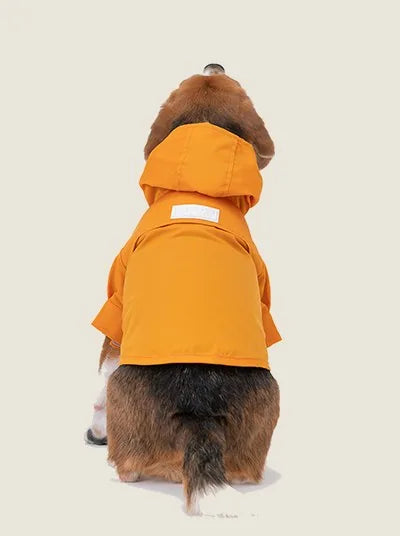 Bright yellow adjustable raincoat on a dog, featuring a roomy hood and velcro closures for a secure fit.