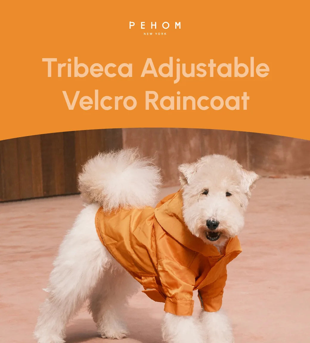 White dog in an egg yolk yellow adjustable raincoat with a hood, showcasing velcro closures and a snug fit.