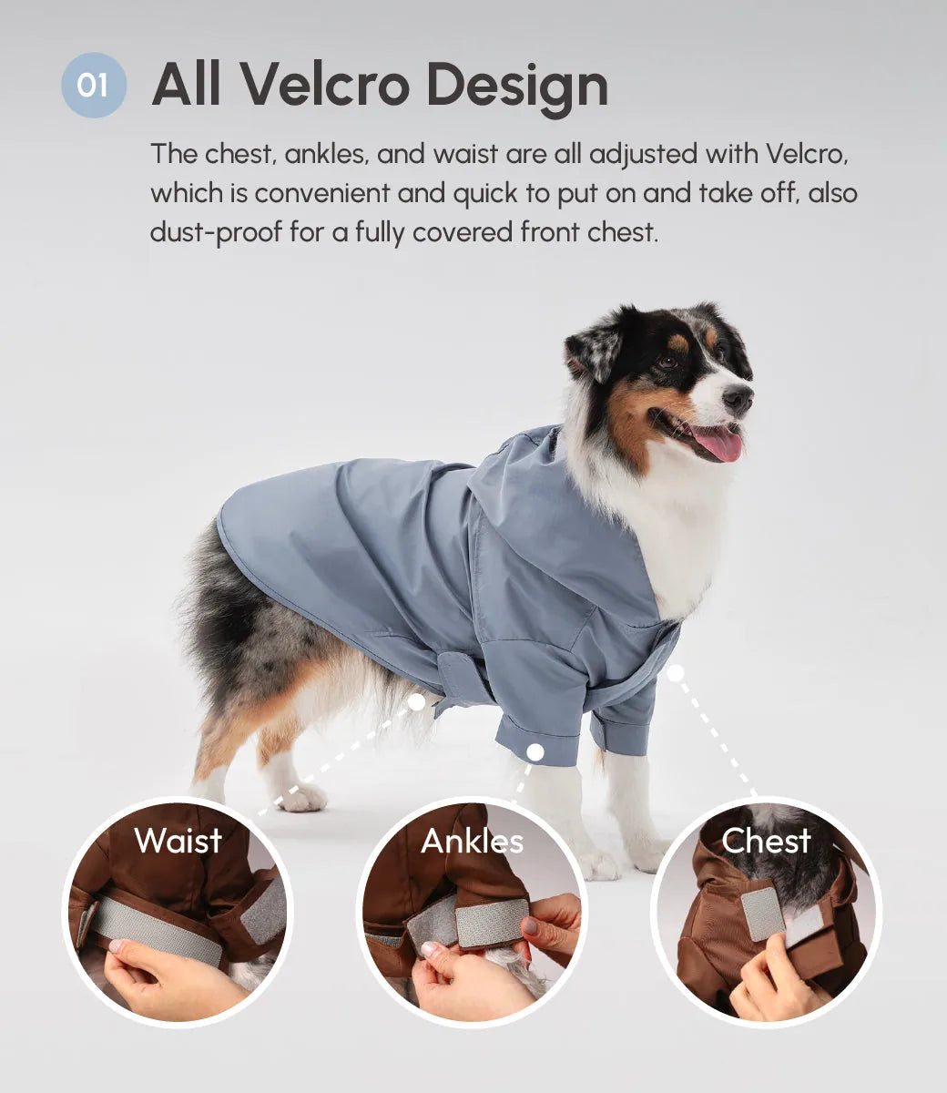 Light blue adjustable velcro raincoat on a dog, featuring velcro closures at the chest, waist, and ankles.