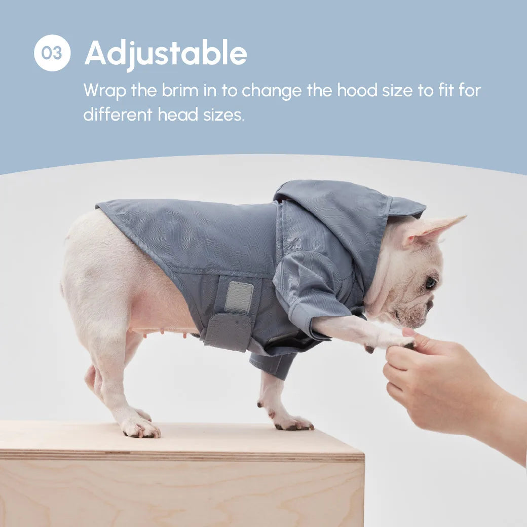 Light blue adjustable raincoat on a dog, featuring a hood and velcro closures for a secure fit.