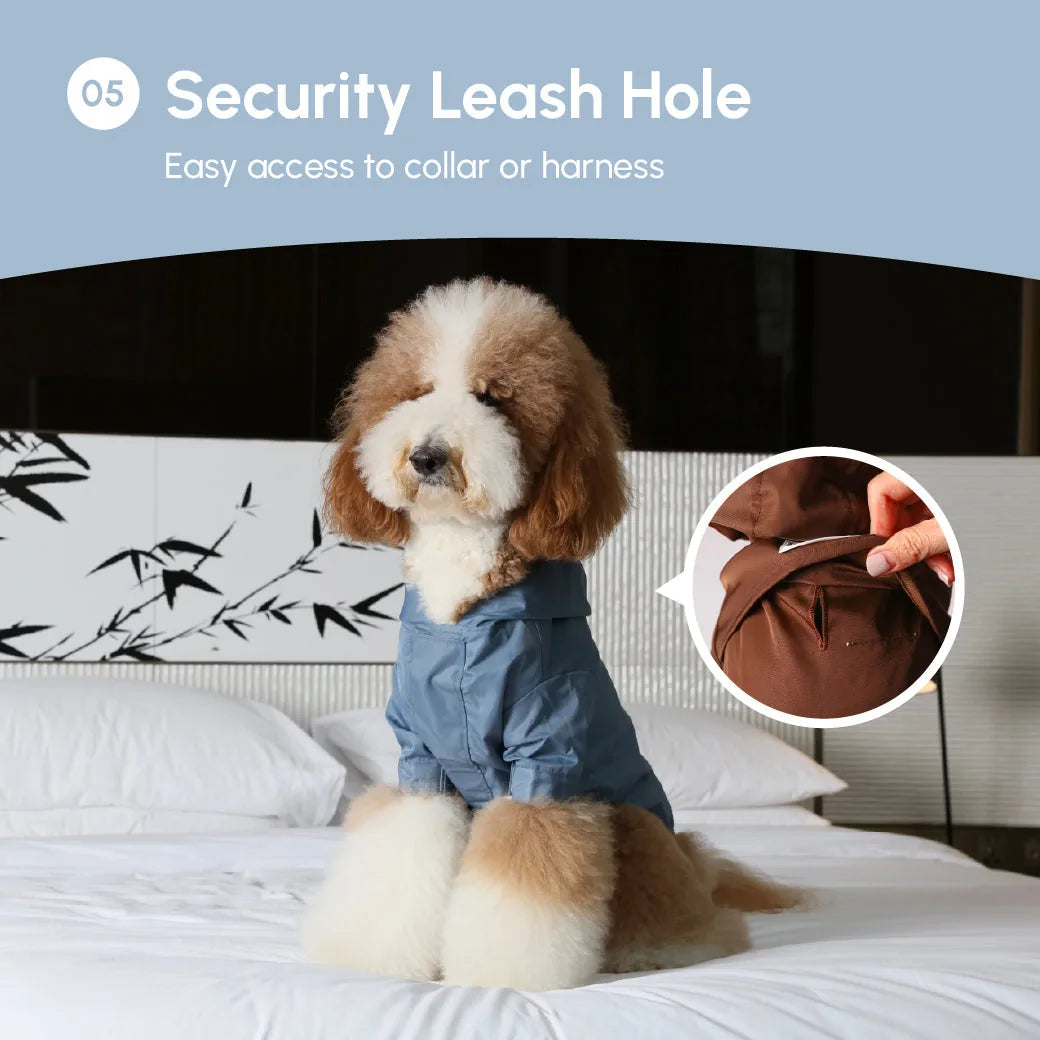 Light blue adjustable raincoat on a fluffy dog, showcasing a security leash hole for easy collar access.
