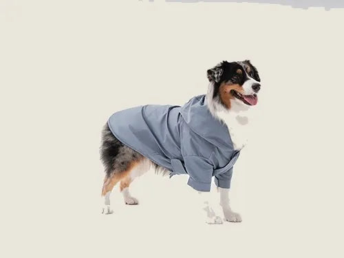 Light blue adjustable velcro raincoat on a happy dog, featuring a sleek design and comfortable fit for wet weather.
