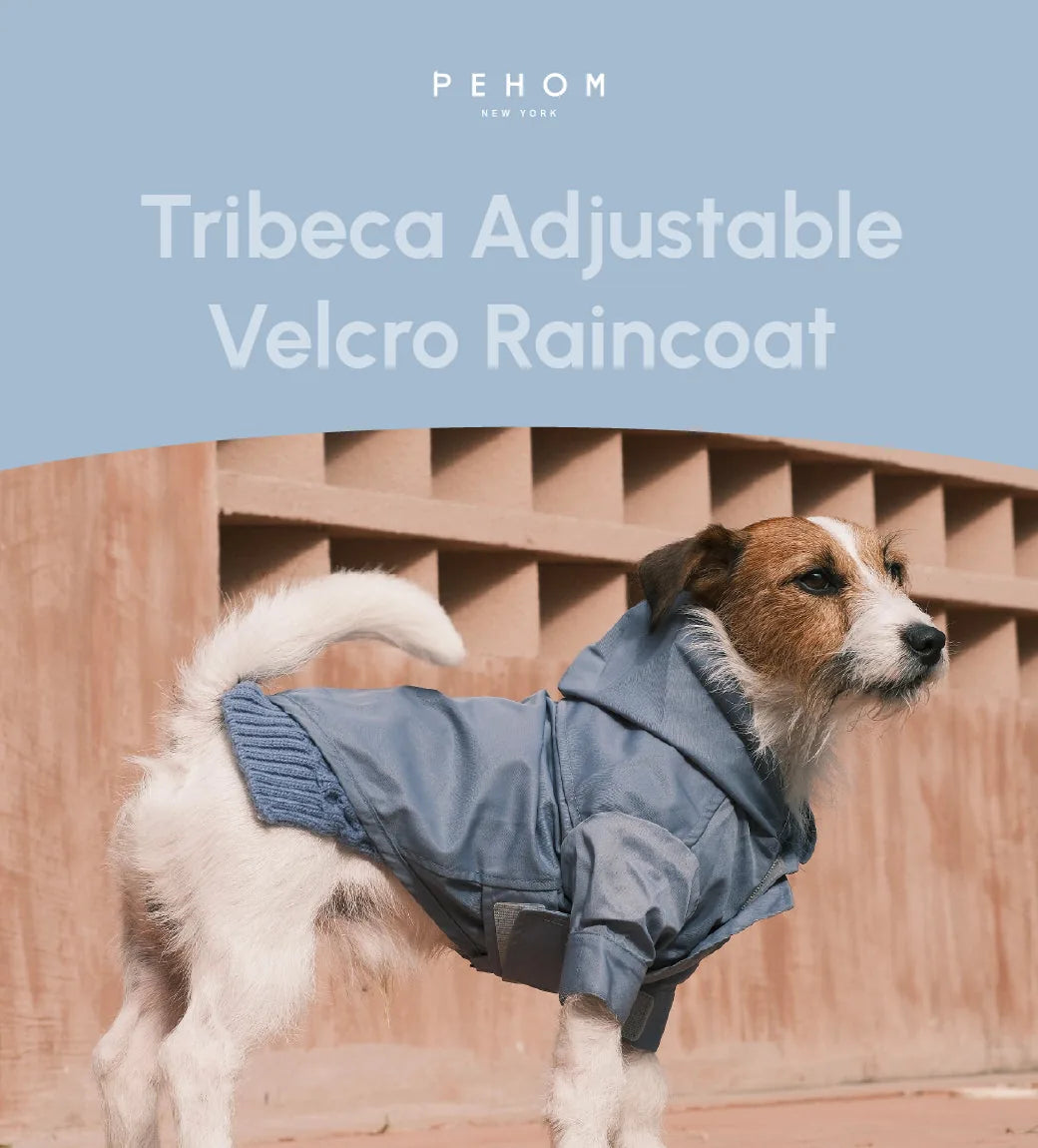 Light blue adjustable velcro raincoat on a dog, featuring a hood and a cozy fit against a textured background.