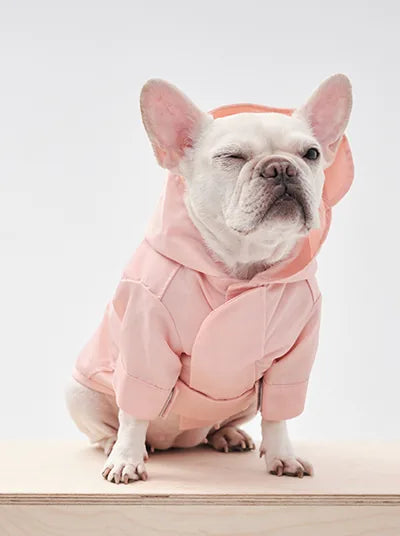Light pink adjustable velcro raincoat on a seated dog, featuring a hood and comfortable fit, perfect for rainy days.
