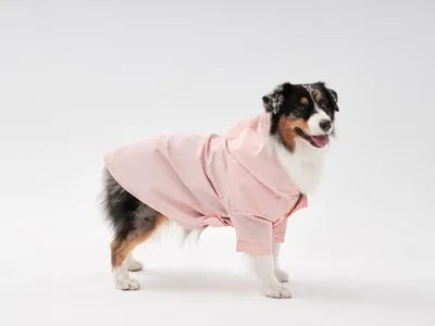 Light pink adjustable velcro raincoat on a dog, featuring a hood and wrap cuffs, perfect for stylish rainy day walks.