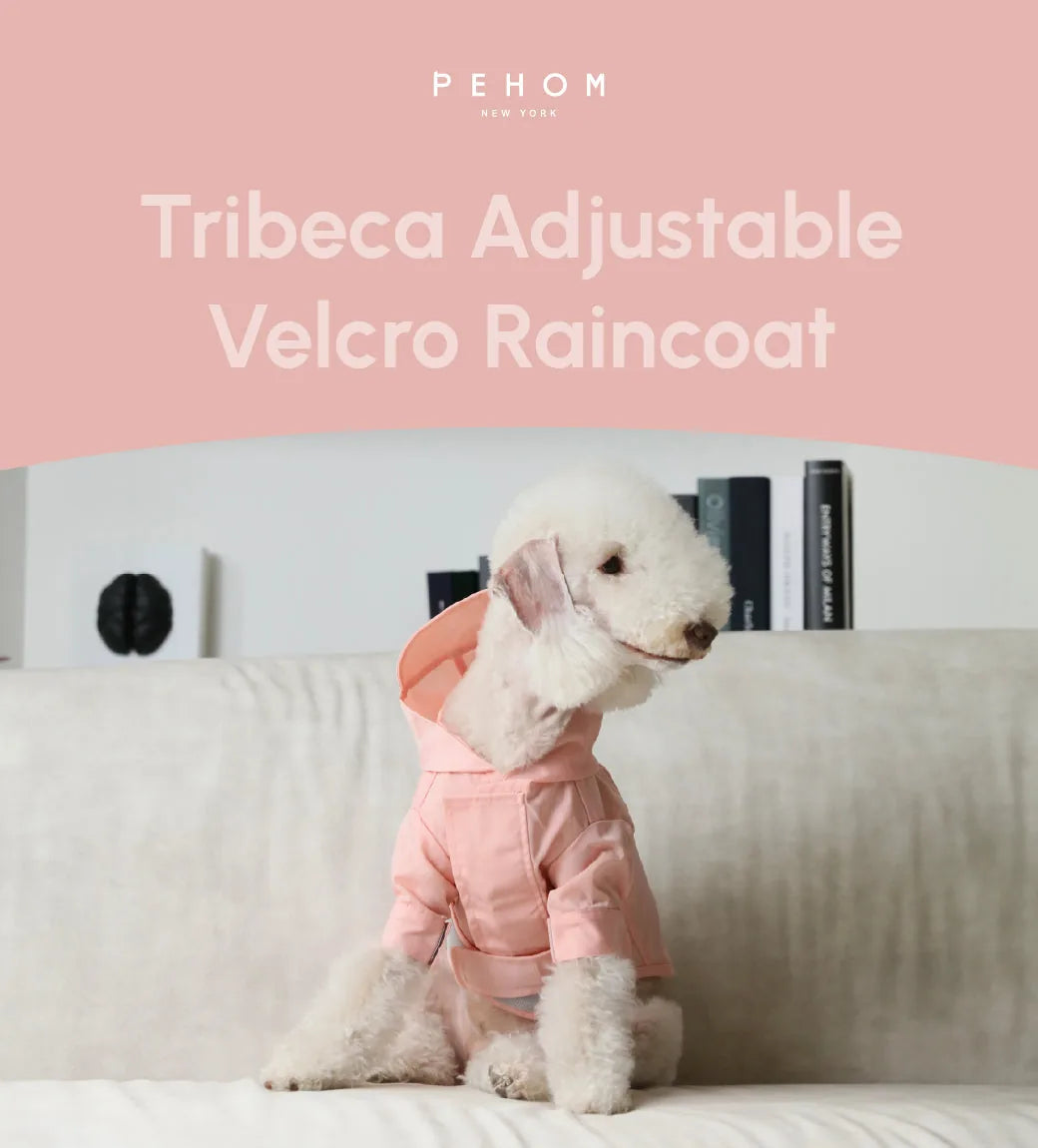 Light pink adjustable velcro raincoat on a dog, featuring a hood and stylish design, perfect for rainy walks.