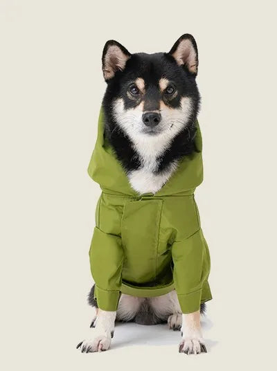 Olive green adjustable raincoat with a hood on a seated dog, featuring velcro closures and wrap cuffs.