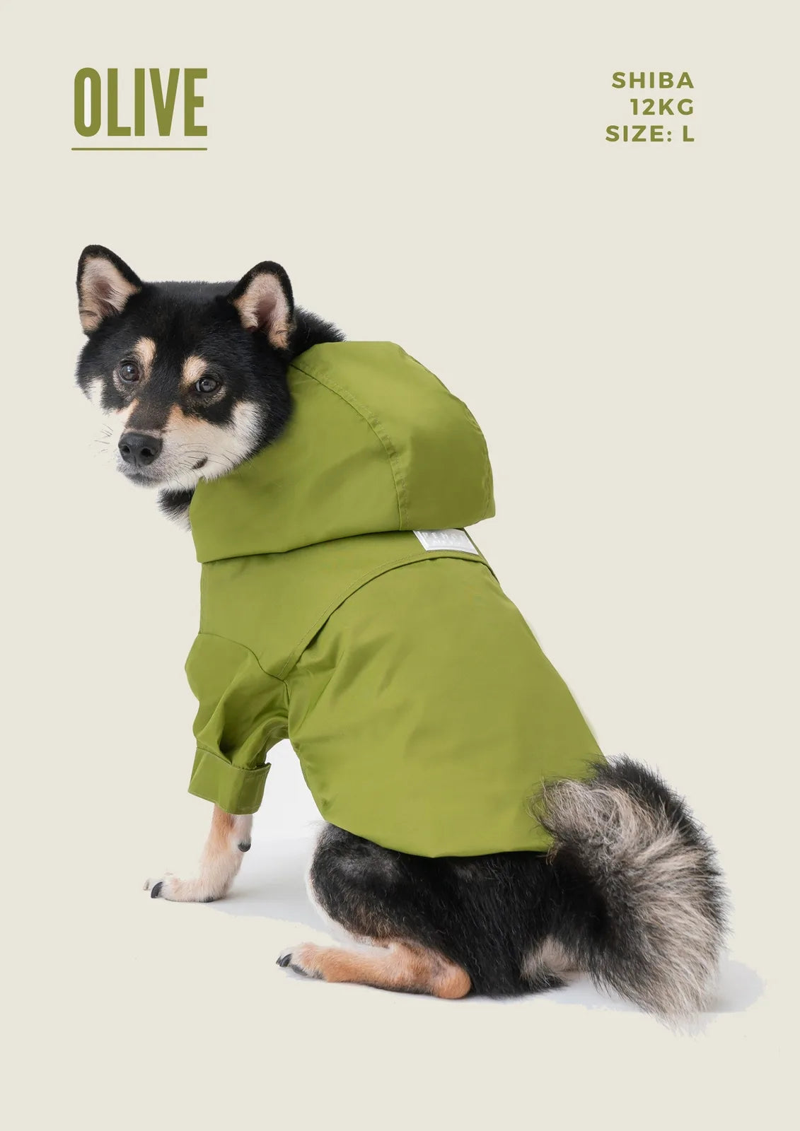 Olive green adjustable velcro raincoat on a dog, featuring a hood and wrap cuffs for a snug fit.