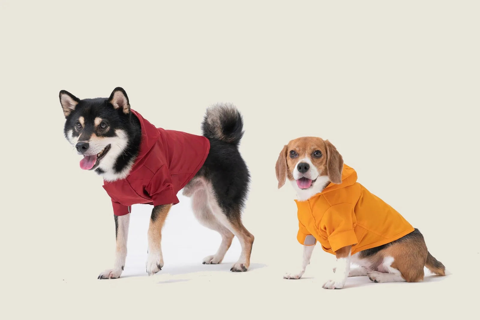Two dogs in colorful raincoats; one black and brown wearing a red hooded coat, the other a brown beagle in an orange coat.