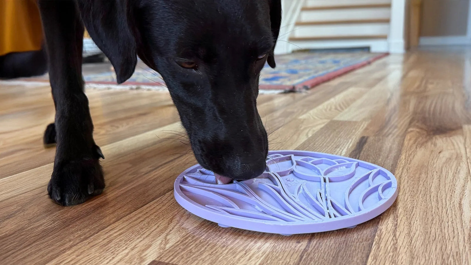 Black dog licking a pastel purple tulip design enrichment lick mat on a wooden floor.