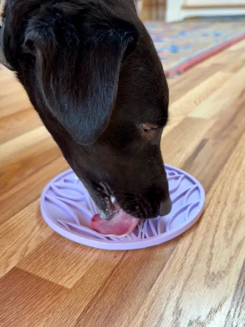 Black dog licking soft treats from a light purple tulip design lick mat on a wooden floor.