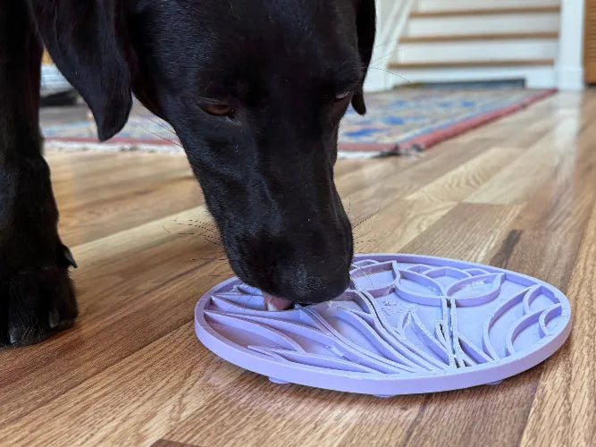 Black dog licking a pastel purple tulip design enrichment mat on a wooden floor.