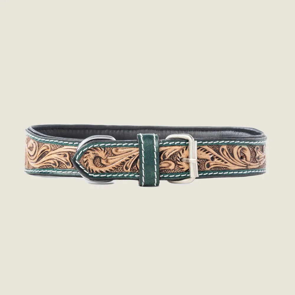Brown dog collar featuring hand-tooled floral designs and teal leather trim, complemented by brass hardware.