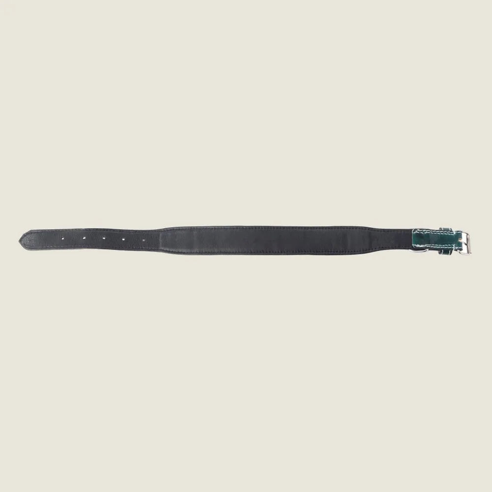 Turquoise Blossom dog collar featuring a sleek brown leather strap and adjustable silver hardware.