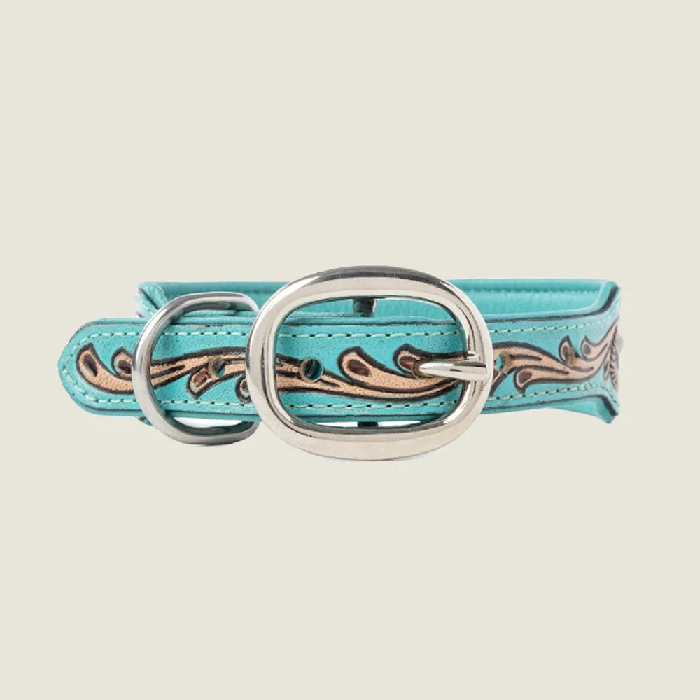 Turquoise leather dog collar with hand-tooled floral design and silver hardware. Ideal for stylish, everyday wear.