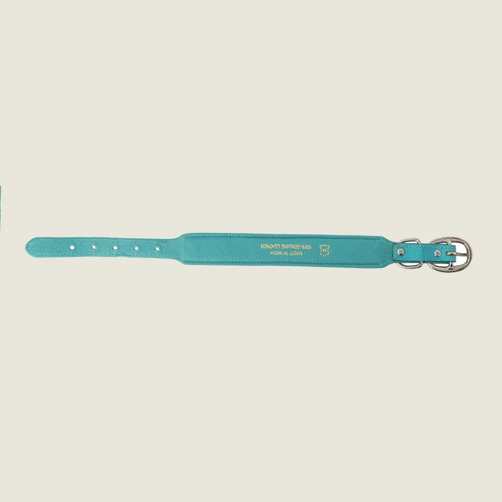 Turquoise leather dog collar featuring hand-tooled floral designs and adjustable fit for small to large dogs.