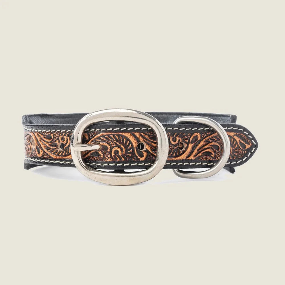 Handcrafted black leather dog collar featuring floral tooling and turquoise lacing, adjustable for a secure fit.