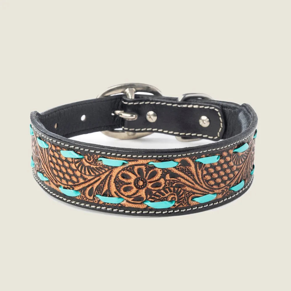 Turquoise Trail Cowboy Dog Collar in black leather with floral tooling and vibrant turquoise lacing for stylish pet wear.