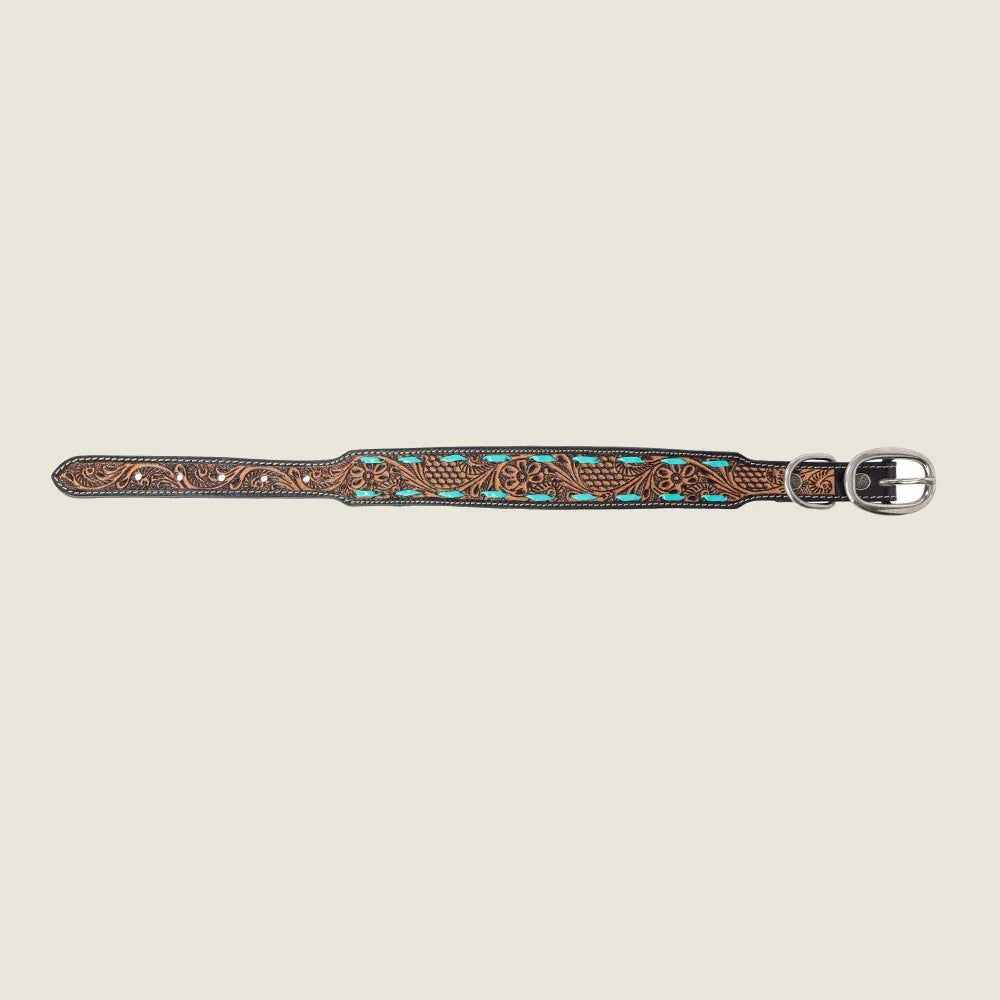 Turquoise Trail Cowboy Dog Collar in black leather, featuring floral tooling and turquoise lacing detail, adjustable fit.