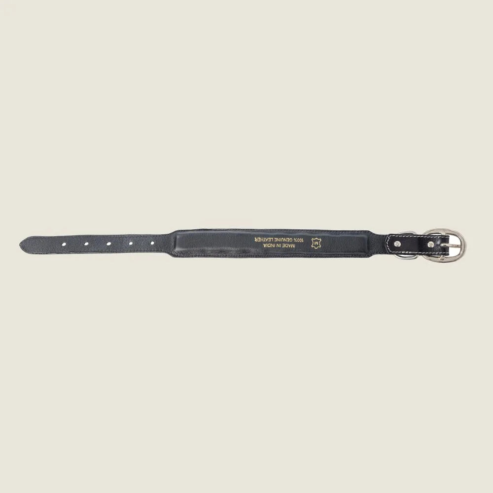 Turquoise Trail Cowboy dog collar in black leather with adjustable sizing and floral tooling detail.