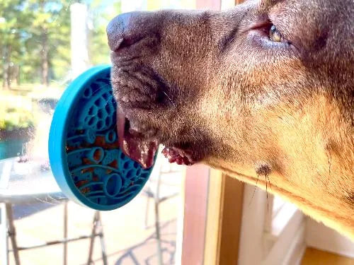 Brown dog licking a blue turtle-shaped eMat-Mini attached to a glass surface, engaging in calming enrichment activity.