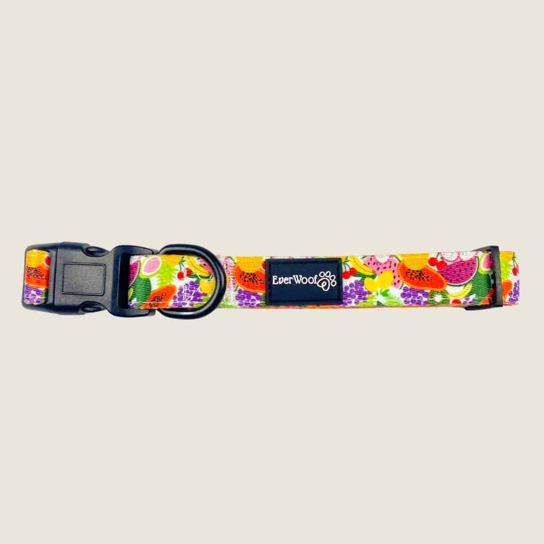Colorful Tutti Frutti collar by EverWoof with fruit pattern, adjustable design, and black buckle for everyday comfort.