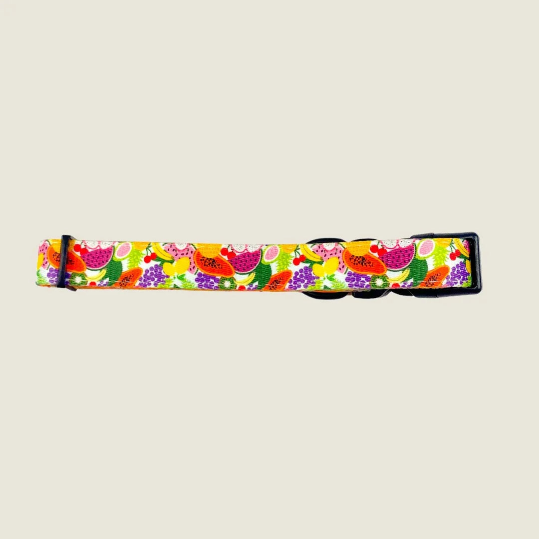 Colorful Tutti Frutti dog collar featuring fruit patterns on a yellow background, adjustable with black hardware.