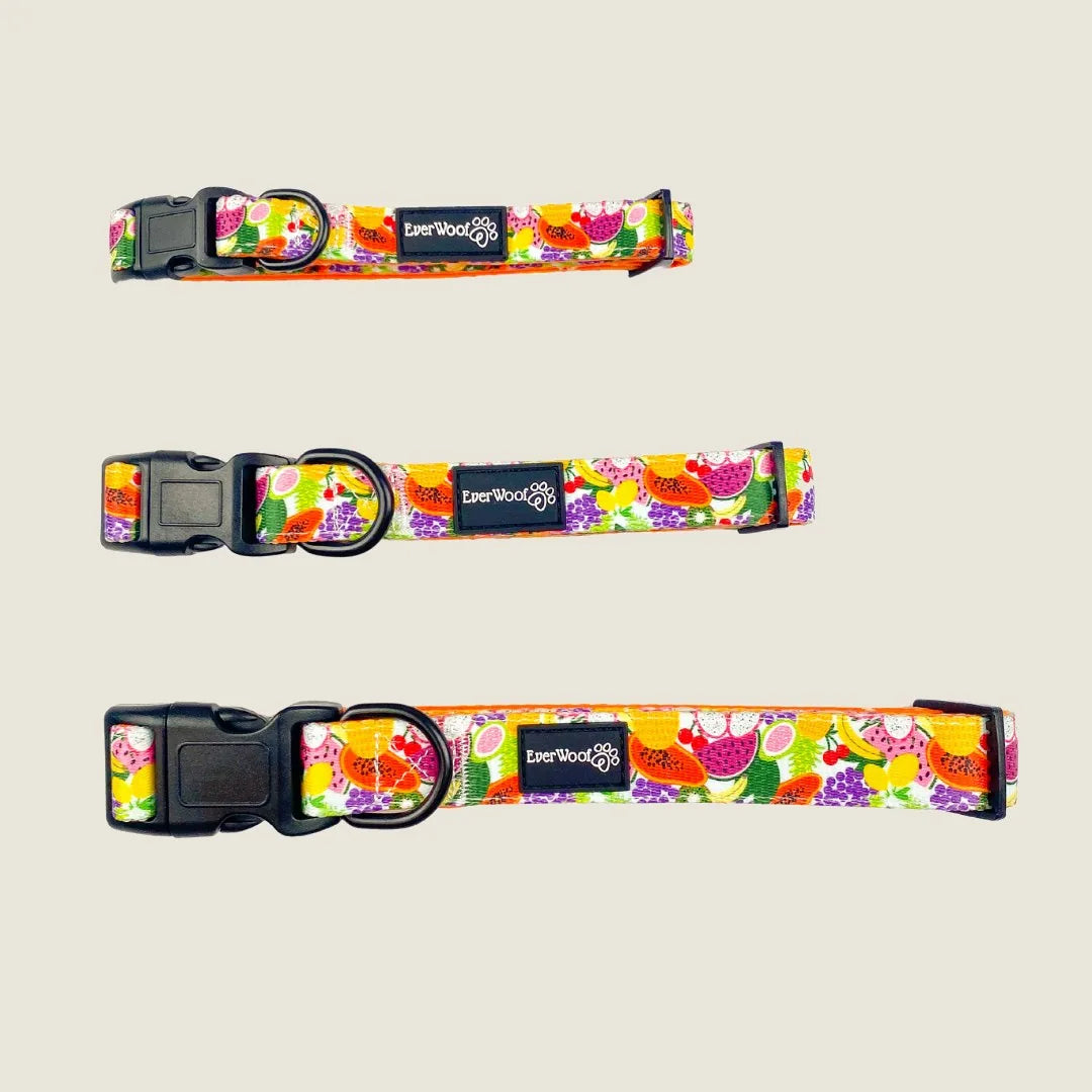 Brightly colored Tutti Frutti dog collar featuring fruit patterns, adjustable design, and durable neoprene material.