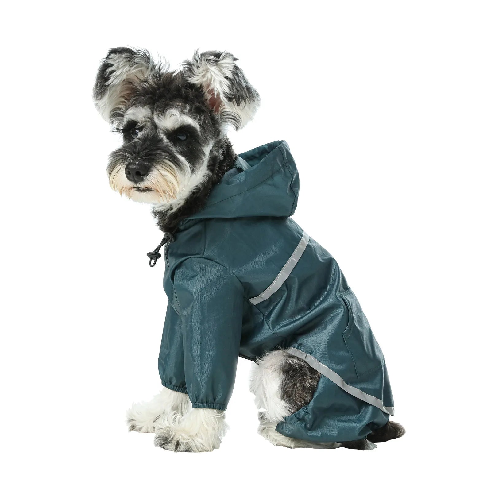 Ultralight blue waterproof dog jacket with a hood and reflective stripes, keeping your dog dry and stylish.
