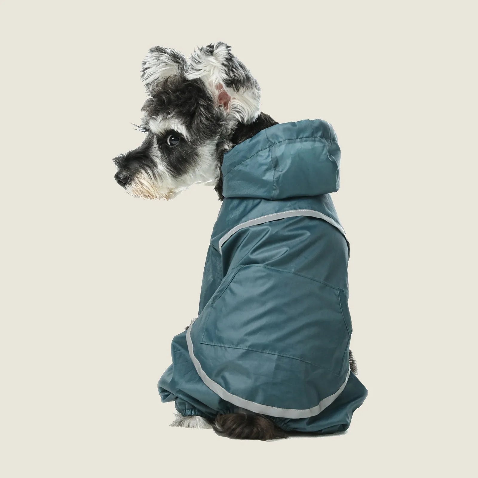 Blue waterproof dog jacket with reflective trim and hood, designed for comfort and protection on rainy days.