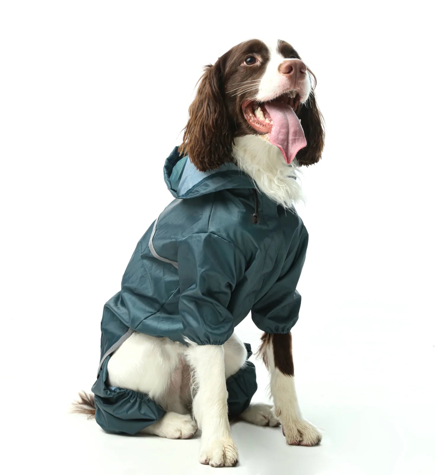 Ultralight blue dog jacket with a hood, featuring reflective details and a snug fit, perfect for rainy walks.