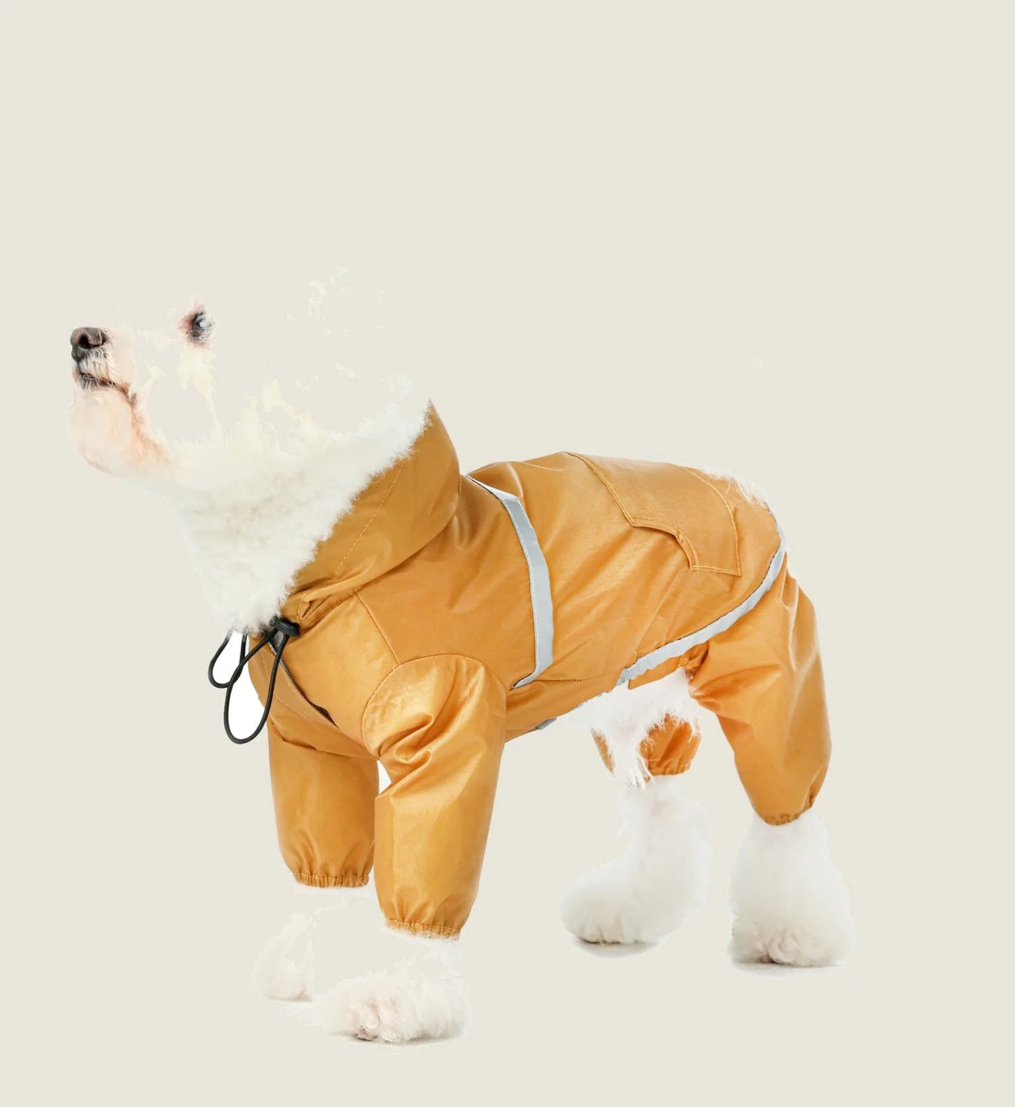 Ultralight waterproof dog jacket in yellow with a hood and reflective detailing, perfect for wet weather walks.