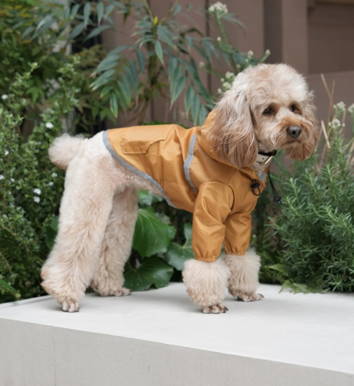 Ultralight yellow waterproof dog jacket with a hood and reflective detailing, perfect for wet weather walks.