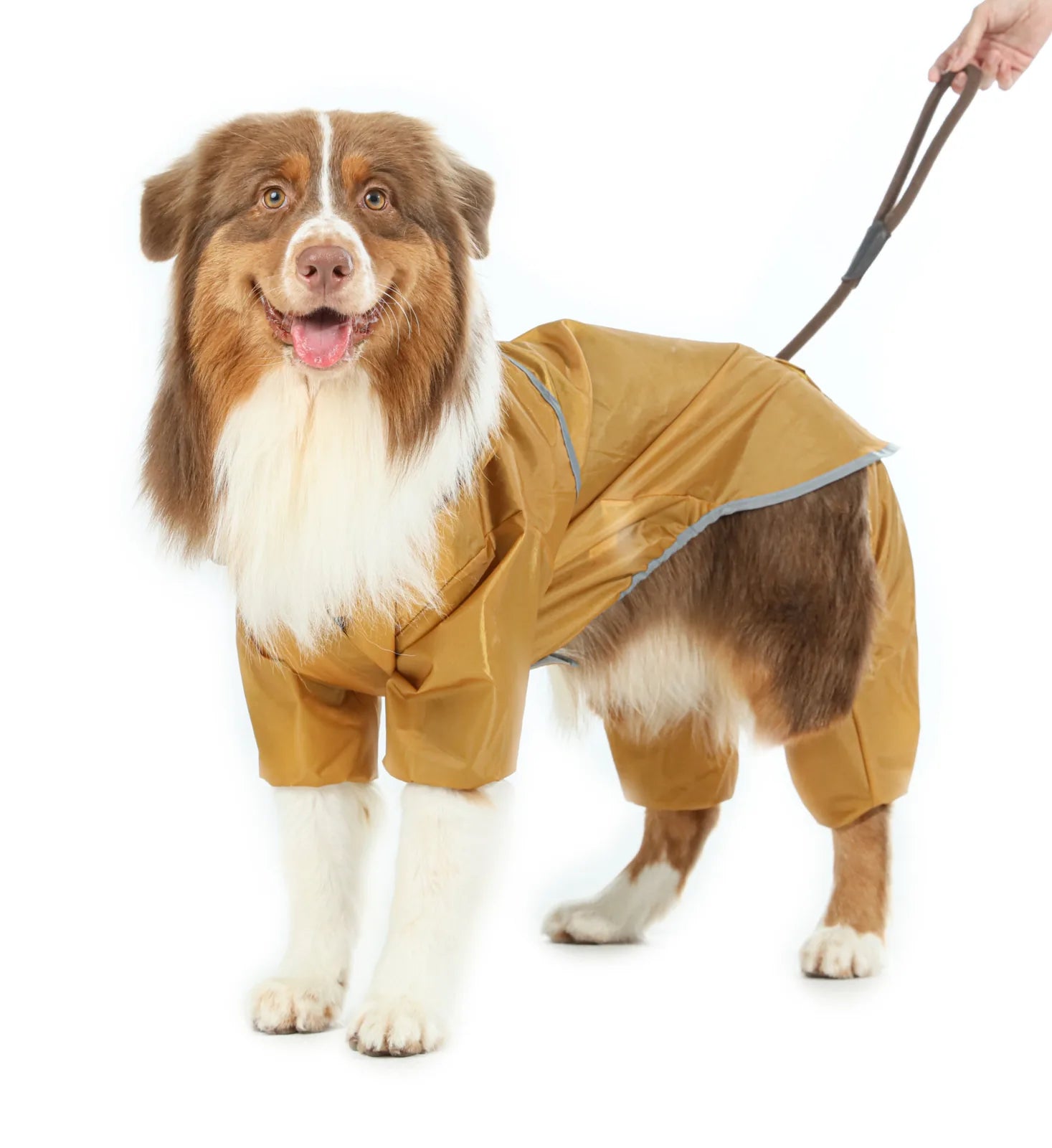 Yellow waterproof dog jacket with a hood, featuring reflective detailing and a secure fit, on a happy dog.