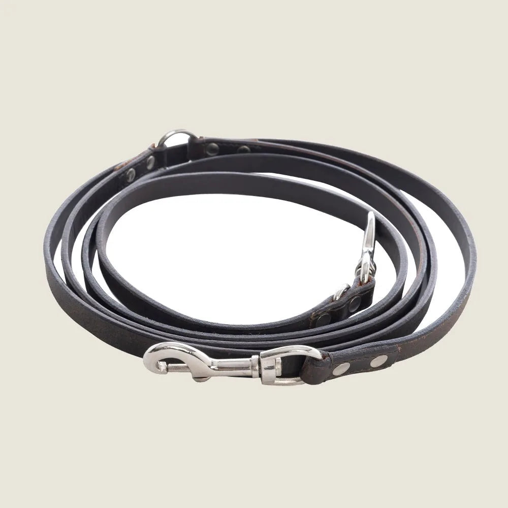 Sleek ebony leather dog leash with silver iron hardware, coiled elegantly for stylish everyday walks.