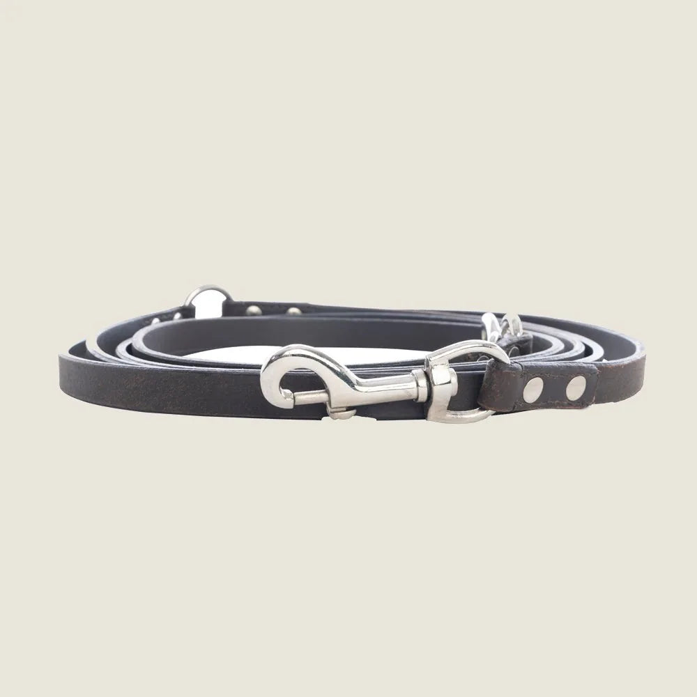 Sleek ebony leather dog leash with iron hardware, featuring a classic design and sturdy clips for secure walks.