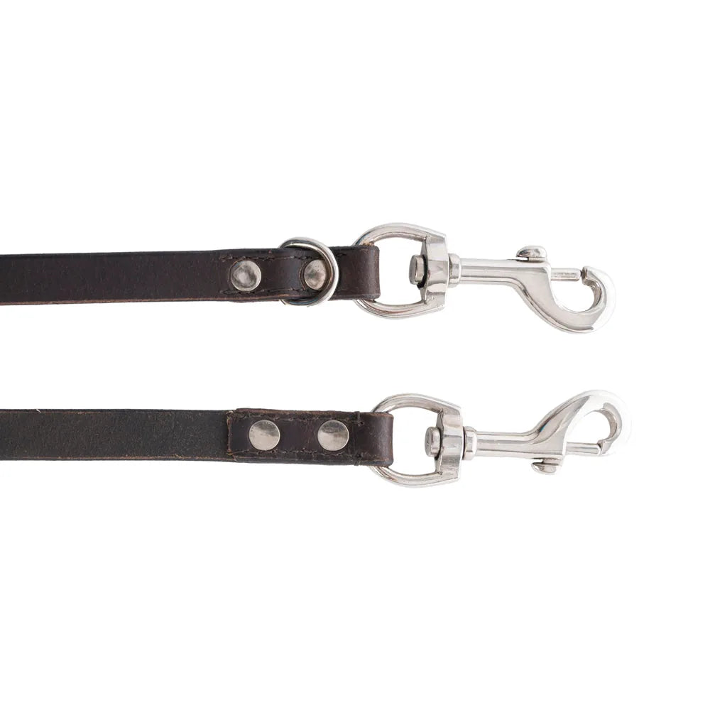 Ebony leather dog leash featuring silver iron hardware, designed for stylish and secure walks.