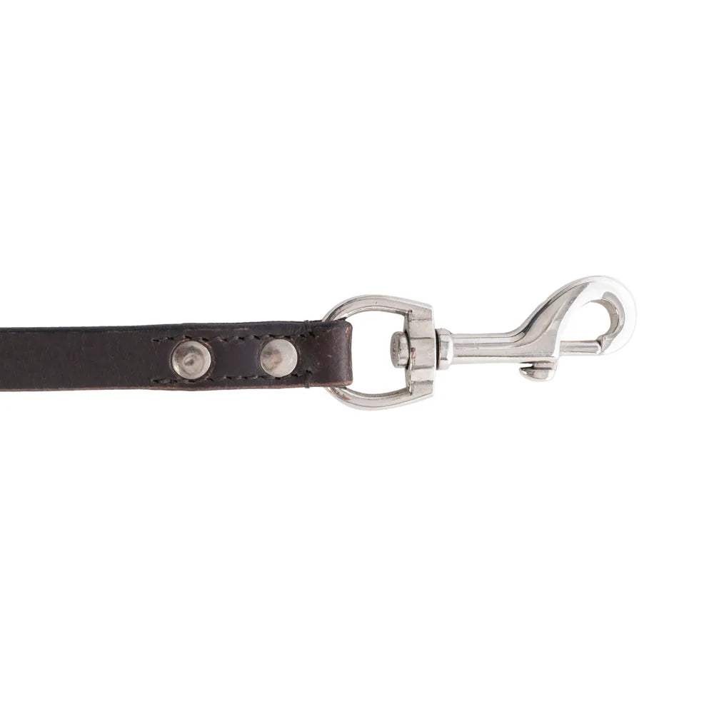 Ebony leather dog leash with silver iron hardware and button details, designed for stylish and functional walking.