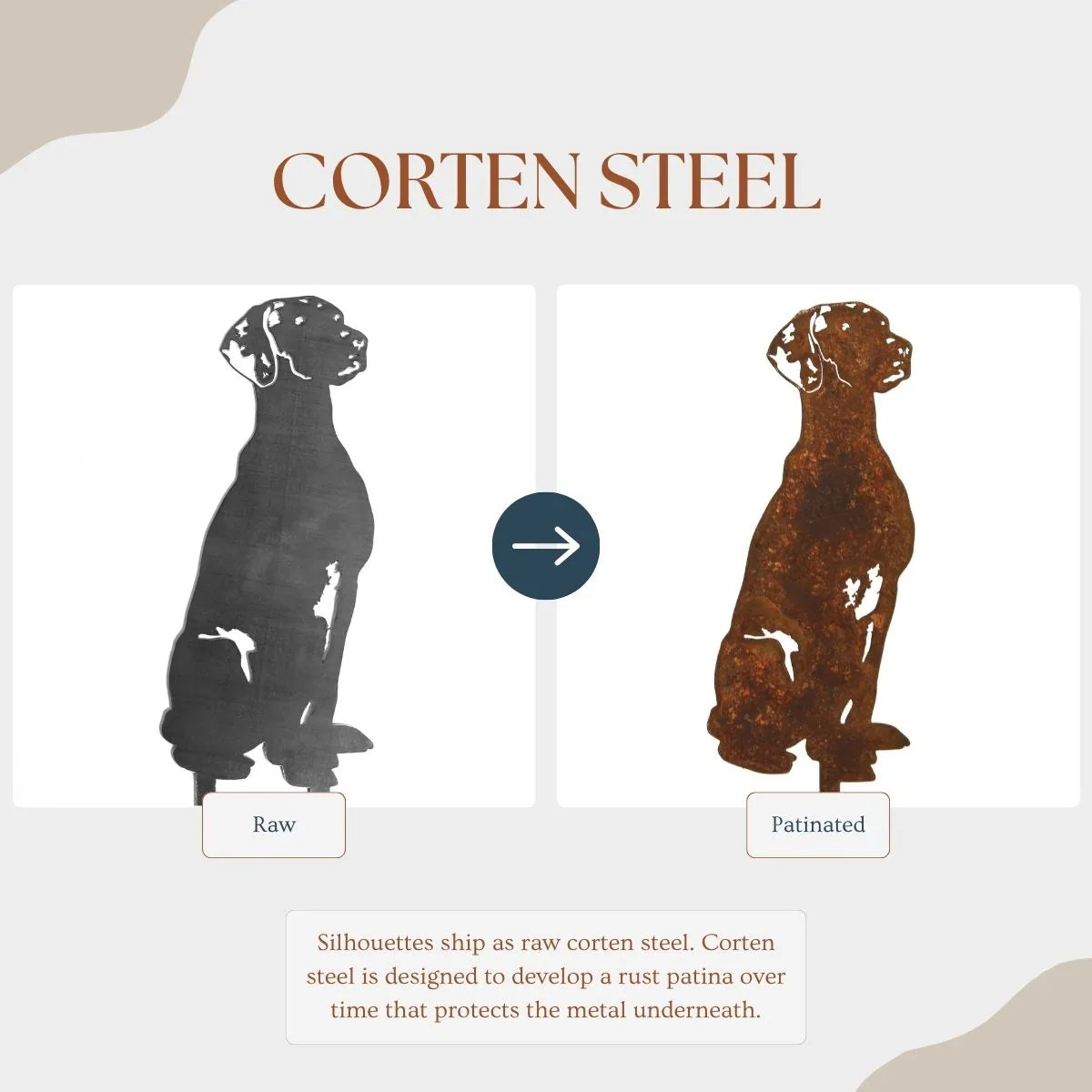 Vizsla metal silhouette in raw and patinated Corten steel illustrating rust patina development over time.