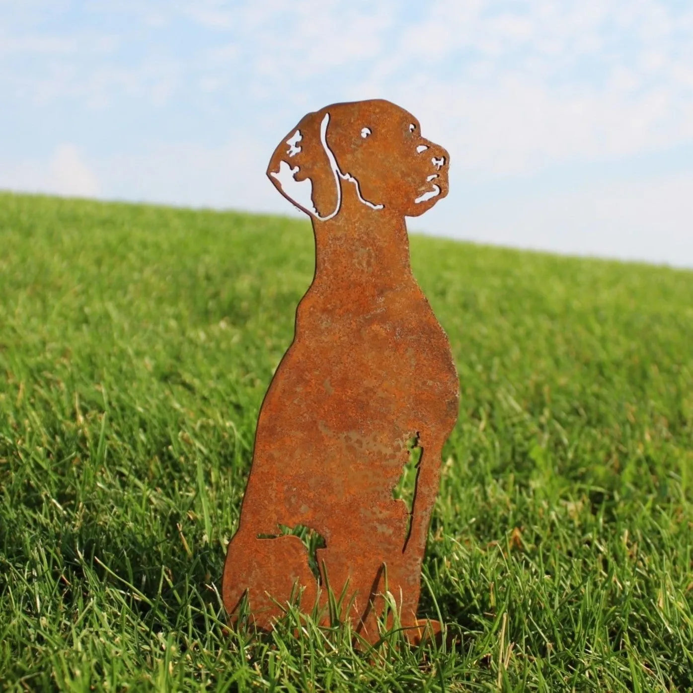 Rust patina Vizsla metal silhouette standing on green grass, showcasing outdoor dog decor by My Metal Rescue.