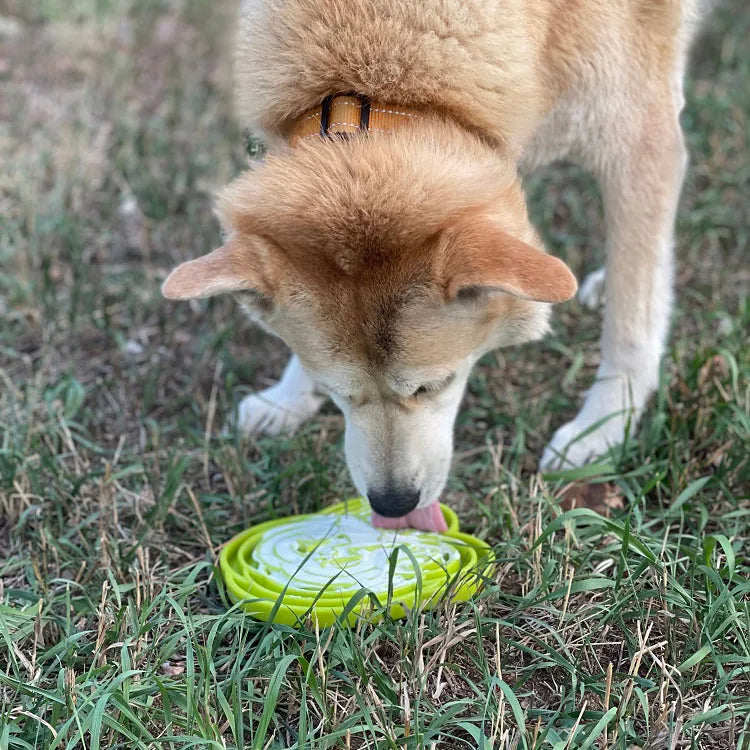 Shallow green Water Frog eTray slow feeder dog bowl on grass, with a dog licking food from its textured surface.